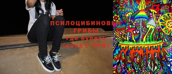 ПСИЛОЦИБИНОВЫЕ ГРИБЫ Надым