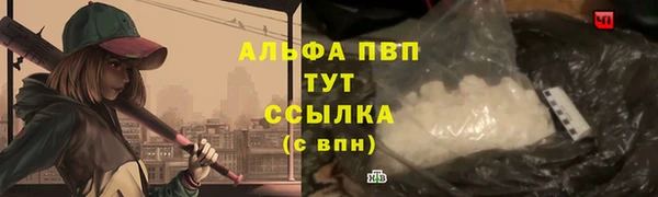 прущие грибы Бабаево