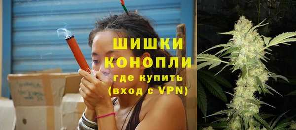 прущие грибы Бабаево
