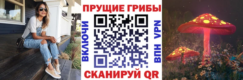 Псилоцибиновые грибы ЛСД  Купить  Спас-Деменск 